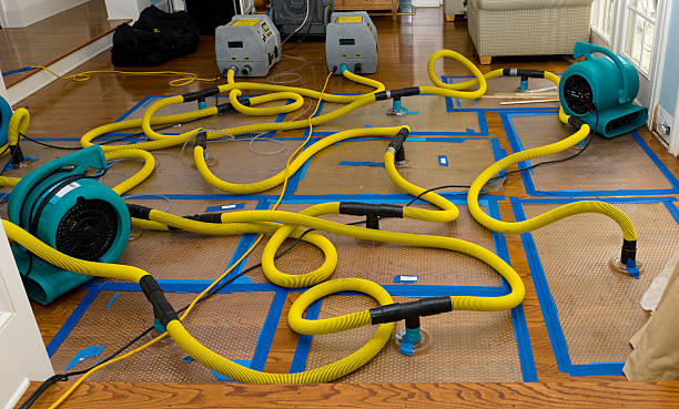 Professional Crawl Space Water Removal technician working in Irvington, NY